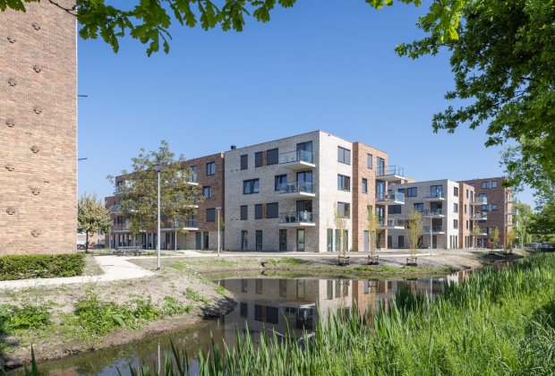 Stout HUURmerk | Galerij (PMC7)